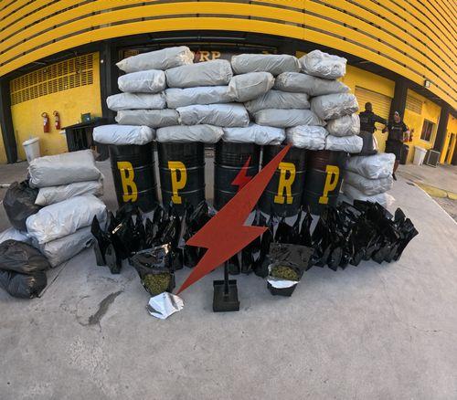 Radiopatrulha apreende 292 quilos de “flor da maconha” e prende quatro em Aracaju