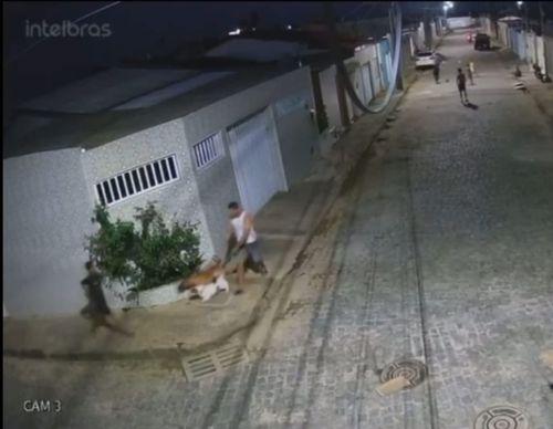Câmeras flagram cachorro atacando criança em Boquim