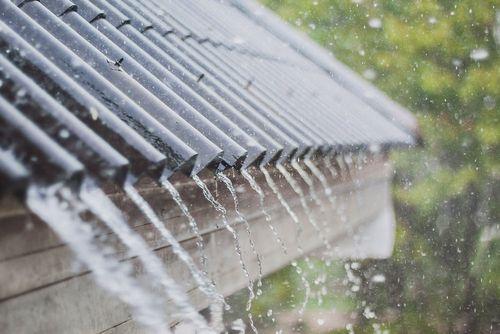 Você usa água da chuva em casa? Ela pode parecer limpa, mas pode te deixar doente!