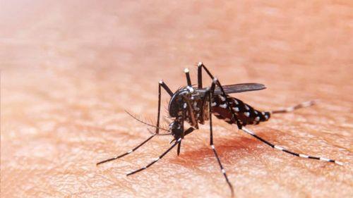 Mais uma morte por suspeita de dengue é investigada