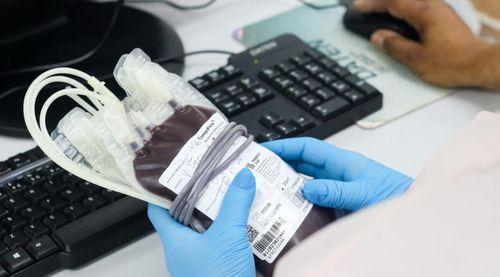 Hemose realiza “Sabadão Solidário” para reforçar estoque de sangue antes do Pré-Caju